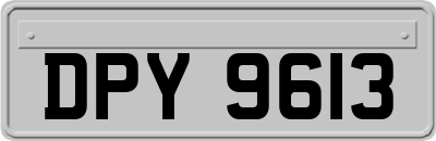 DPY9613
