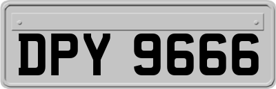 DPY9666
