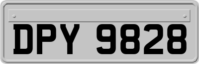DPY9828