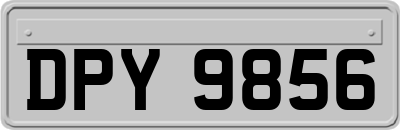 DPY9856