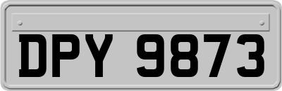 DPY9873