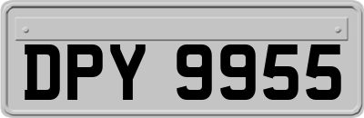 DPY9955