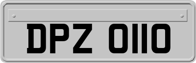 DPZ0110