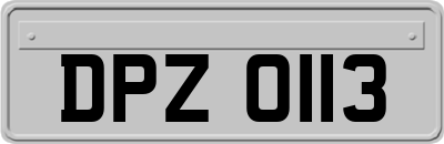 DPZ0113