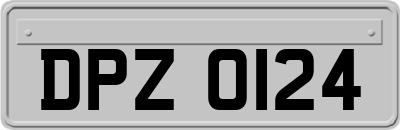 DPZ0124