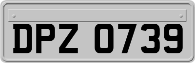 DPZ0739