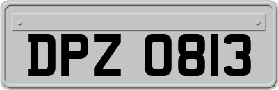 DPZ0813