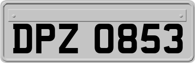 DPZ0853