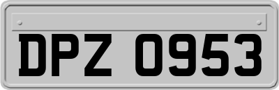 DPZ0953