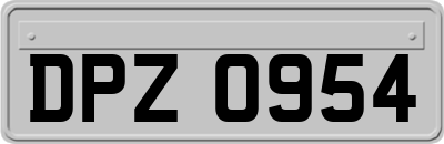 DPZ0954