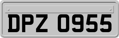 DPZ0955