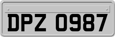 DPZ0987