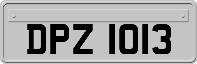 DPZ1013