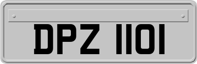 DPZ1101