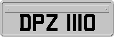 DPZ1110