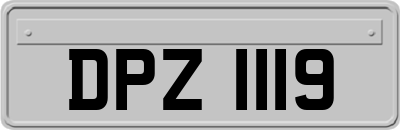 DPZ1119