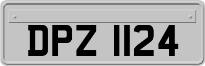 DPZ1124