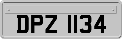 DPZ1134