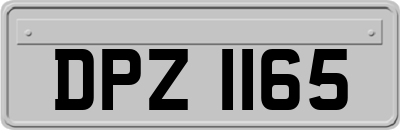 DPZ1165