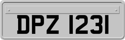 DPZ1231