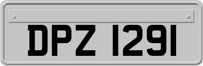 DPZ1291