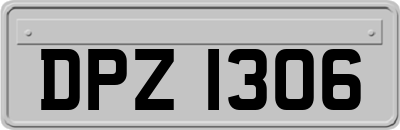 DPZ1306