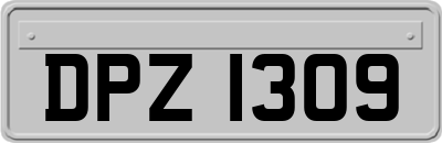 DPZ1309