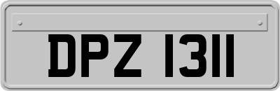 DPZ1311