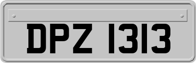 DPZ1313