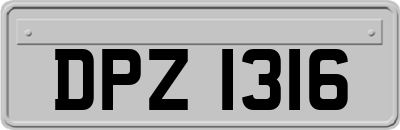 DPZ1316