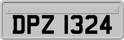 DPZ1324