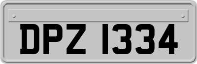 DPZ1334