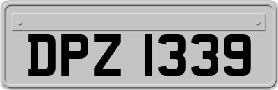 DPZ1339