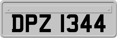 DPZ1344