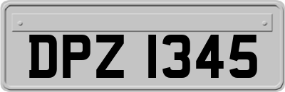 DPZ1345