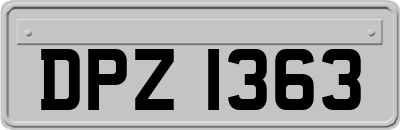 DPZ1363