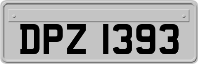 DPZ1393