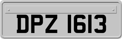 DPZ1613