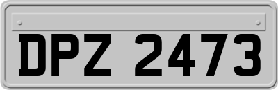 DPZ2473