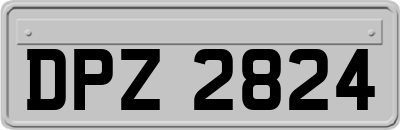 DPZ2824