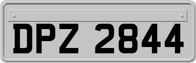 DPZ2844