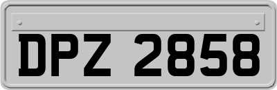 DPZ2858