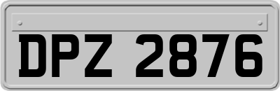 DPZ2876