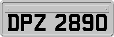 DPZ2890