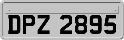 DPZ2895