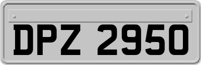 DPZ2950