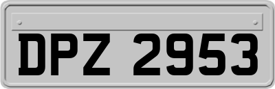 DPZ2953
