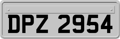 DPZ2954