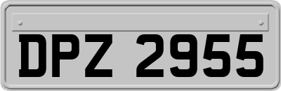 DPZ2955