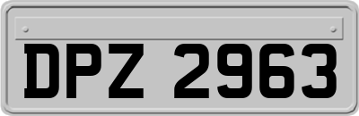DPZ2963